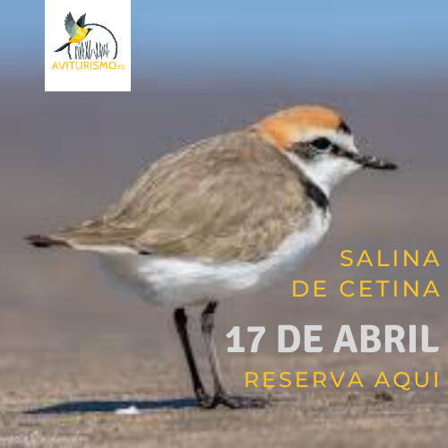Salina de Cetina