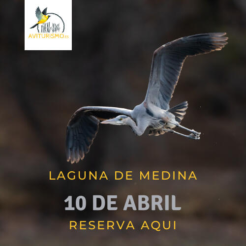 Laguna de Medina Laguna de Medina