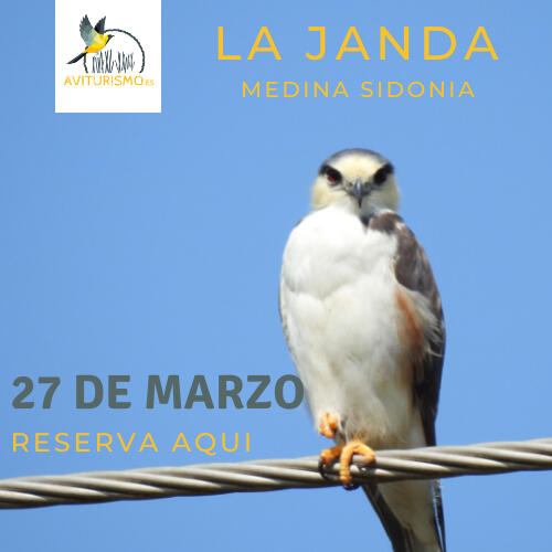 La Janda La Janda