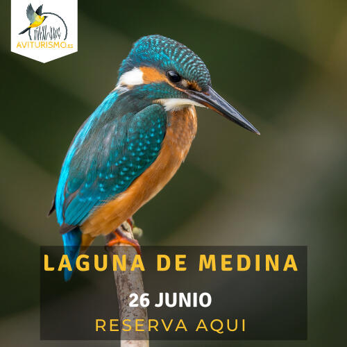 Laguna de Medina Laguna de Medina