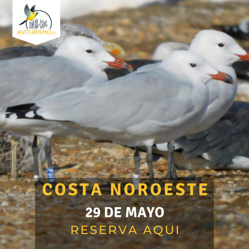 Costa Noroeste