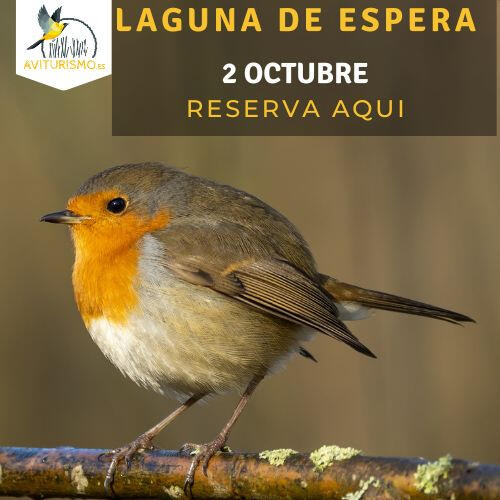 Laguna de Espera