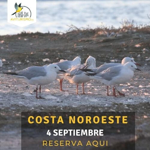 Costa Noroeste