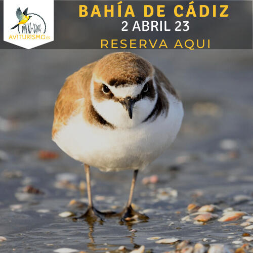 Abril 2023 Abril 2023