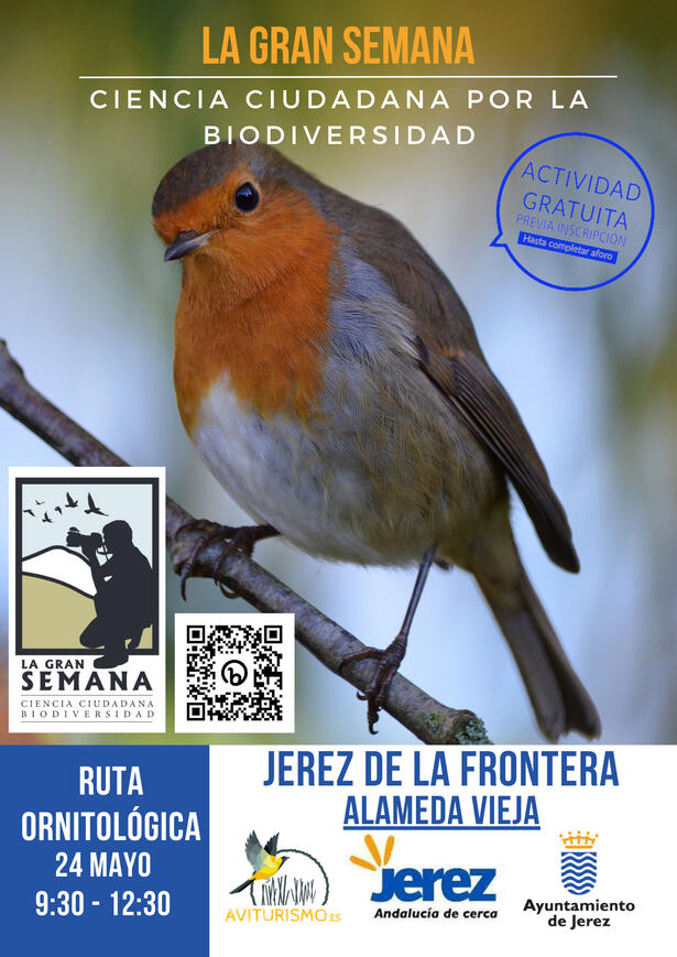 Jerez 24 Mayor 2023