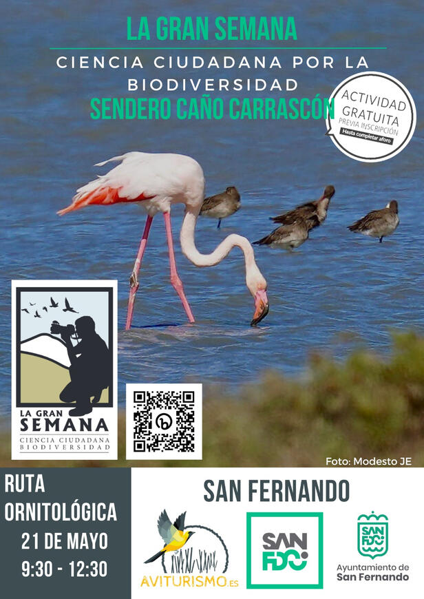 San Fernando 21 Mayo 2023