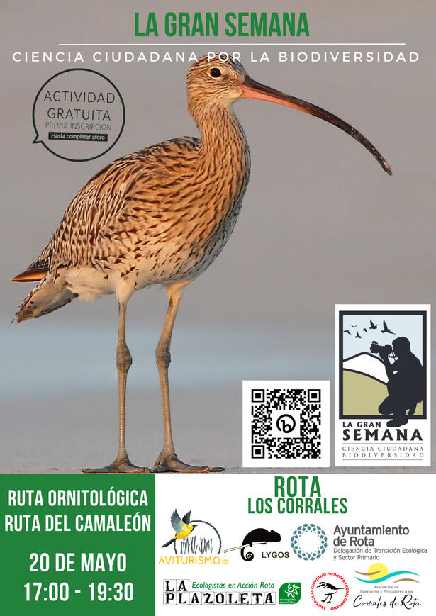 Rota 20 Mayo 2023