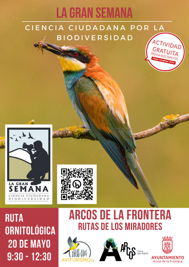 Arcos 20 Mayo 2023
