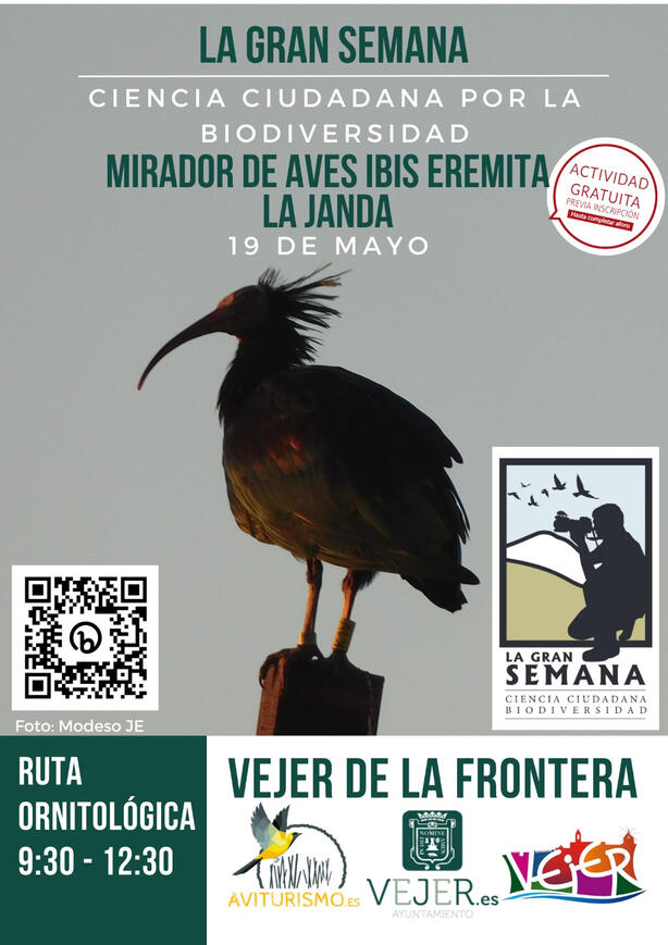 Vejer 19 Mayo 2023