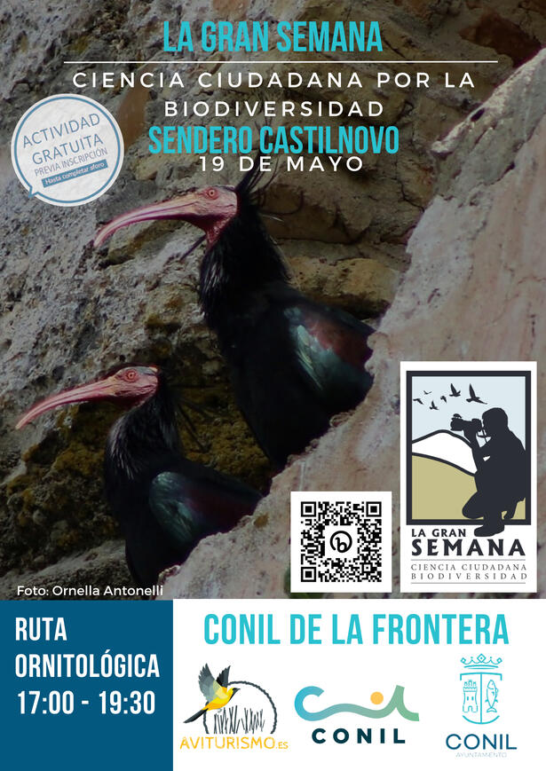 Conil 19 Mayo 2023