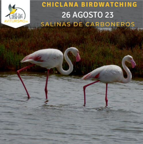 26 agosto Salinas de Carboneros