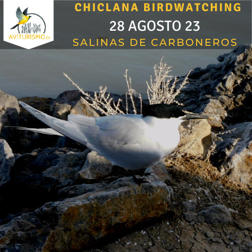 23 de Agosto Salinas de Carboneros Chiclana