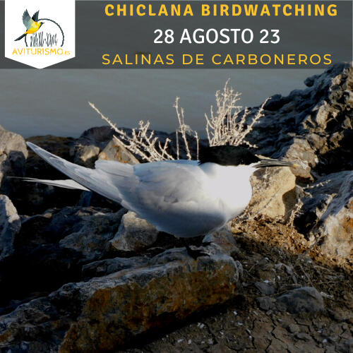 Salinas de Carboneros Chiclana