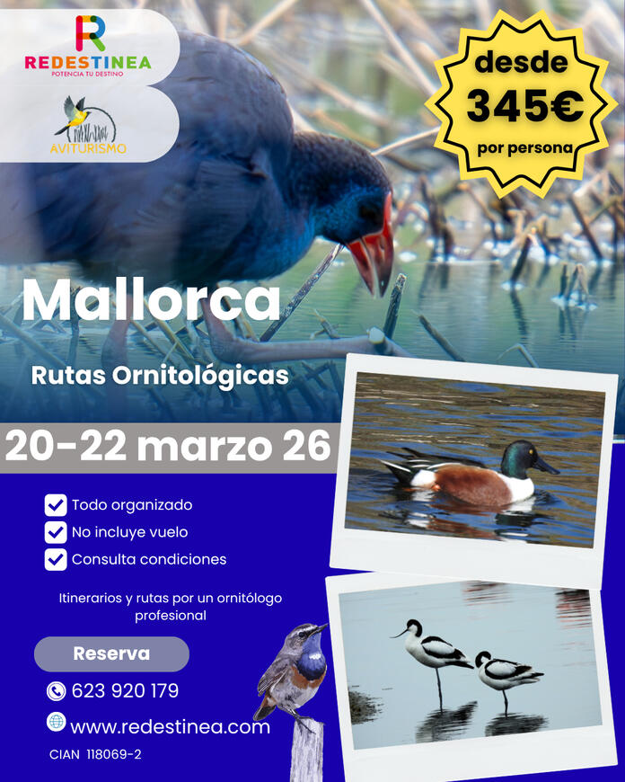 MALLORCA DEL 20 AL 22 DE MARZO 2026