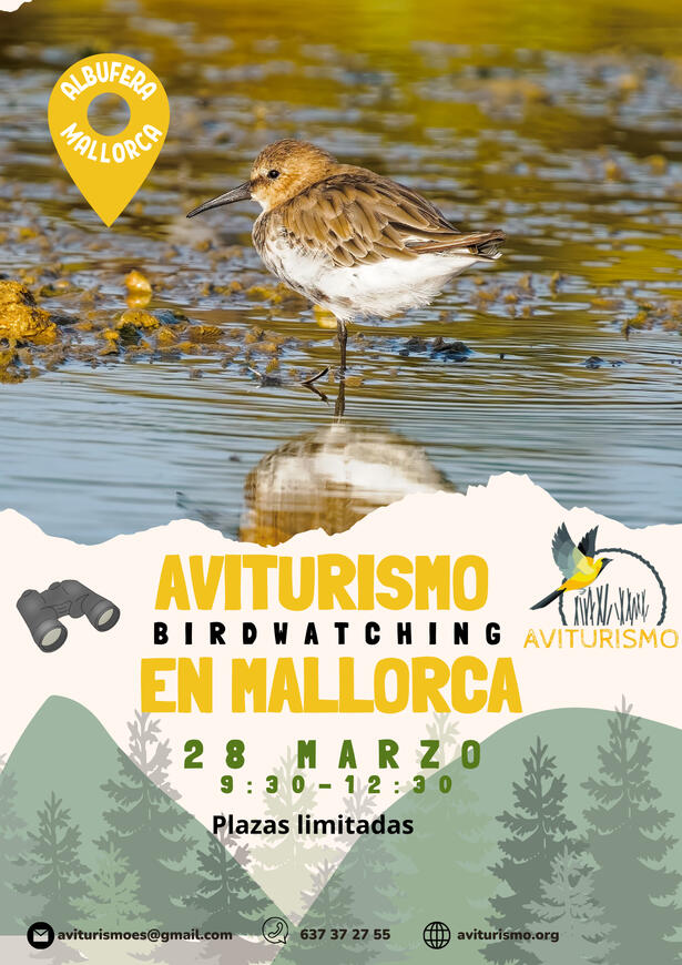 Aviturismo Mallorca Salida ornitológica en Mallorca