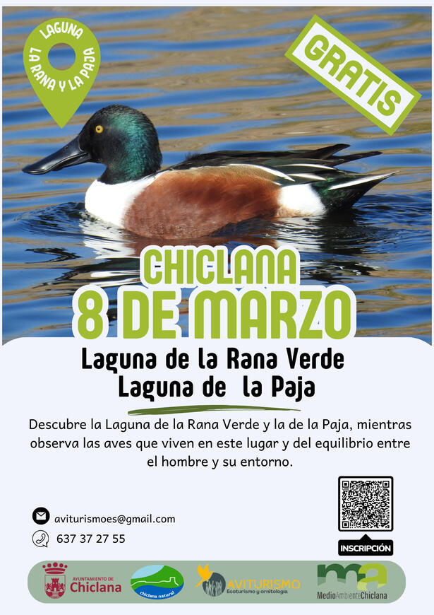 LAS AVES DE LAS LANUGAS DE LA RANA VEERDE Y LA PAJA 8 DE MARZO 2026