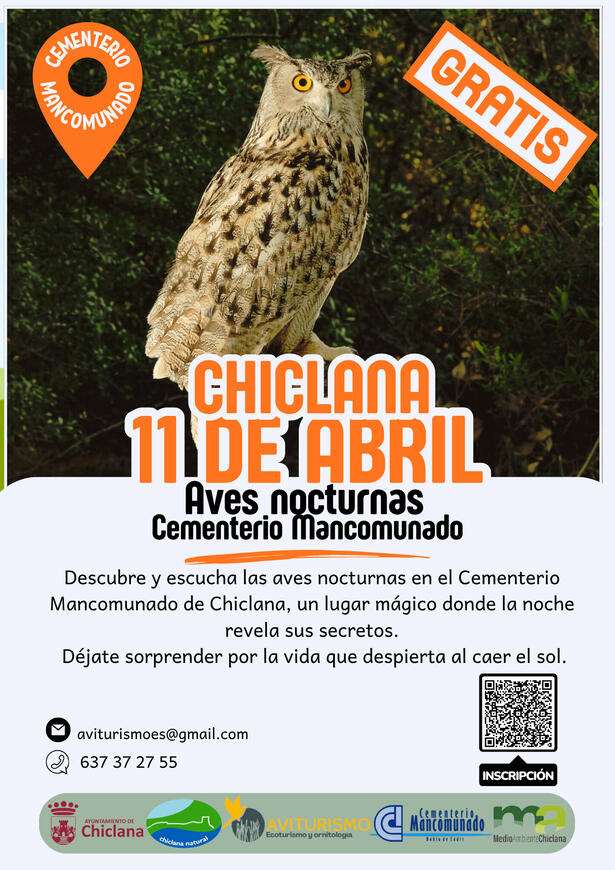 DÍA DE LAS AVES NOCTURNAS DÍA DE LAS AVES NOCTURNAS 11 DE ABRIL 2026