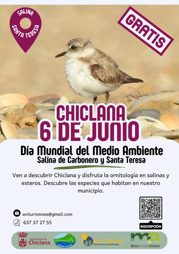 DÍA MUNDIAL DEL MEDIO AMBIENTE - 6 DE JUNIO 2026 -