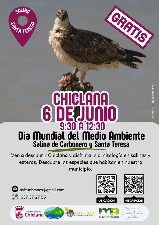 DÍA MUNDIAL DEL MEDIO AMBIENTE DÍA MUNDIAL DEL MEDIO AMBIENTE - 6 DE JUNIO 2026 -