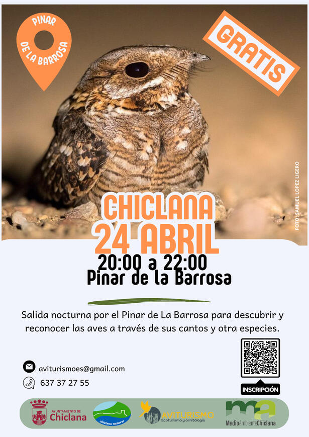 SALIDA NOCTURNA PINAR DE LA BARROSA 24 DE ABRIL 2027