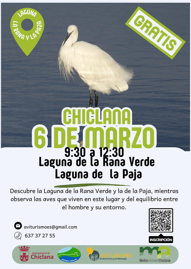 LAS AVES DE LAS LANUGAS DE LA RANA VERDE Y LA PAJA 6 DE MARZO 2026