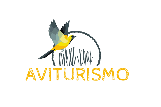 Guía ornitológico | Chiclana | Francis Silva