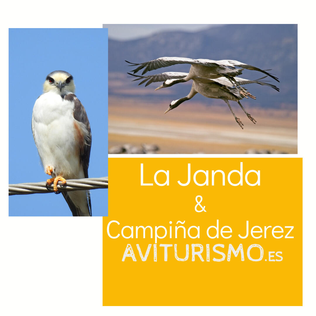 Lagunas y rios