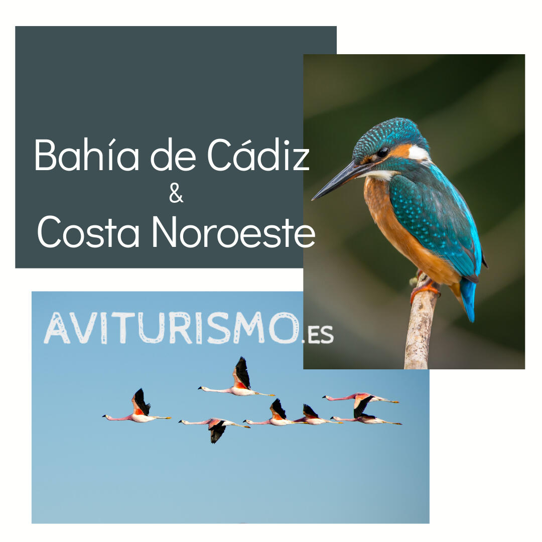 Bahía de Cádiz y Costa Noroeste